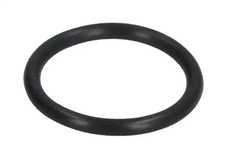 Кольцо уплотнитель АКПП VAG 02-18 ELRING 886.680