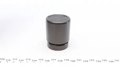 Поршенек суппорта FRENKIT P425202