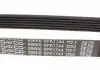 Комплект ременя DAYCO KPV621 (фото 13)