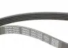 Комплект ременя DAYCO KPV634 (фото 3)