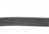 Комплект ремня DAYCO KPV830 (фото 10)