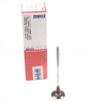 Клапан (впуск) MAHLE KNECHT 039 VE 30980 000