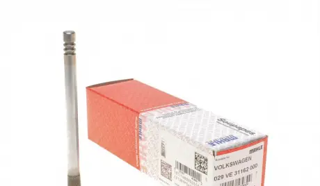 Клапан (впуск) MAHLE KNECHT 029 VE 31162 000