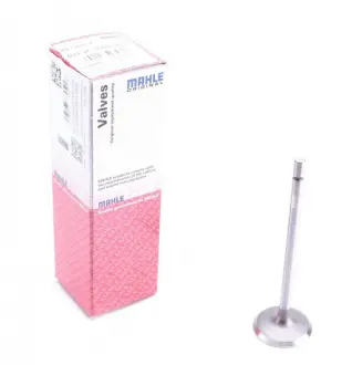 Клапан (впуск) MAHLE KNECHT 021 VE 30920 000
