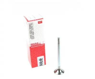 Клапан (впуск) MAHLE KNECHT 001 VE 31378 000