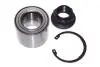 Подшипник ступицы задней комплект Citroen Jumper 02-06, Fiat Ducato 02-06, Peugeot Boxer 02-06 FT21100
