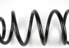 Пружина (передняя) DP SS 2253 (фото 2)