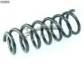 Пружина передня BMW X5 (E70) 3.0d / 3.0i 07- 14.101.603