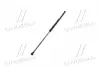 Амортизатор кришки MAGNETI MARELLI 430719099700 (фото 2)