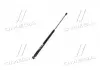 Амортизатор кришки MAGNETI MARELLI 430719099700 (фото 4)