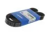 Дорожечный пас VKMV6PK1020R
