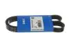 Доріжковій пас SKF VKMV6PK1020R (фото 2)