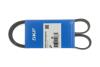 Доріжковій пас SKF VKMV6PK1020R (фото 3)