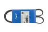 Доріжковій пас SKF VKMV6PK1020R (фото 3)