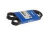 Доріжковій пас SKF VKMV6PK1020R (фото 4)