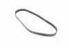 Ремінь приводний M300 (Korea) GM 25191144 (фото 3)