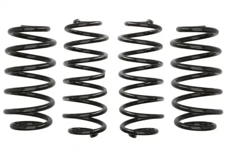 Комплект пружин підвіски EIBACH E10-15-011-01-22