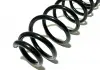 Пружина подвески задней BYD F3 Aftermarket 10129907-00 (фото 2)