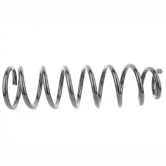 Пружина підвіски задньої BYD F3 Aftermarket 10129907-00