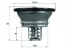 Термостат VOLVO / RVI MAHLE KNECHT THD 3 82 (фото 1)