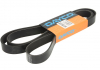 Ремень поликлиновой DAYCO 8PK2203HD (фото 1)