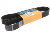 Ремень поликлиновой DAYCO 10PK1500HD (фото 1)