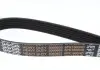 Ремень поликлиновой DAYCO 6PK1660HD (фото 2)