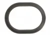Кільце ущільнювач PORSCHE 07- ELRING 482260 (фото 1)