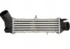 Интеркулер THERMOTEC DAT002TT (фото 1)