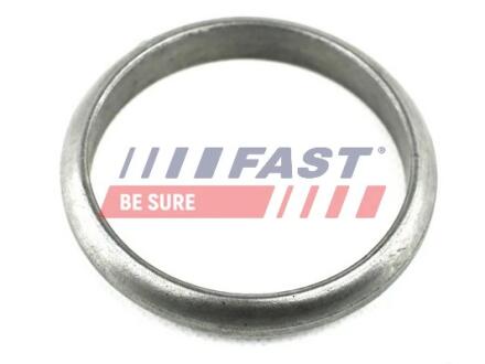 Прокладка вихлопної системи глушника CITROEN JUMPER, Fiat Ducato 02-06 FAST FT84574