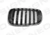 Решітка радіатора BMW X5 (E70), 02.07 - BM07053GAL