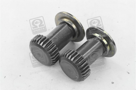 Шестерня регулир. супорта MERITOR ELSA 2 RADIAL 2 шт. RIDER RD 08474