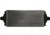 Интеркулер THERMOTEC DAP001TT (фото 3)