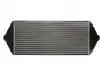 Интеркулер THERMOTEC DAP001TT (фото 4)