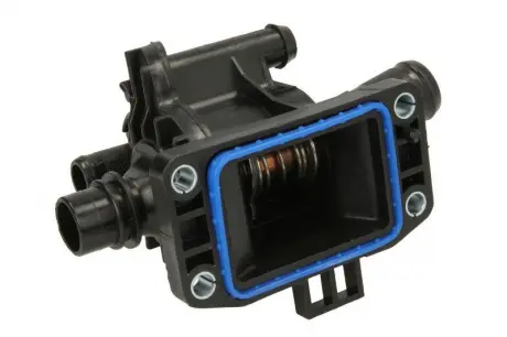 Термостат THERMOTEC D2C009TT