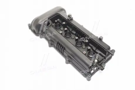Крышка клапанов (Mobis) MOBIS (KIA, Hyundai) 224102B002 (фото 1)