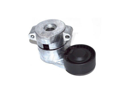 Ролик ГРМ натяжний FORD Transit 06-14, Transit Custom 12-; FIAT Ducato 06-14; PEUGEOT Boxer 06-14; CITROEN Jumper 06-14 FAST FT44597