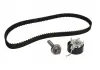 Ремкомплект ГРМ FORD / VOLVO C-Max / Fiesta / Focus / Galaxy / Kuga / Mondeo / S-Max / S60 / S80 / V40 &quot;1,5-2,0&quot; 10 &gt;&gt; SKF VKMA04215 (фото 2)