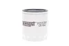 Фильтр масляный FORD FOCUS II, III 04-, MONDEO IV, V 07- (HENGST) HENGST FILTER H319W (фото 1)