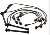 Комплект проводів запаленою MAGNETI MARELLI 941318111091 (фото 1)