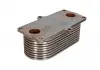 Масляный радиатор, двигательное масло THERMOTEC D4AG002TT (фото 2)