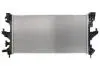 Радіатор, охолодження двигуна THERMOTEC D7C017TT (фото 2)