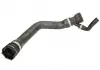 Шланг радіатора THERMOTEC DWB047TT (фото 1)