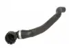Шланг радиатора THERMOTEC DNB005TT (фото 1)
