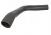 Шланг радиатора THERMOTEC DCX070TT (фото 1)