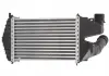 Интеркулер THERMOTEC DAX007TT (фото 2)