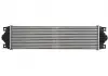 Интеркулер THERMOTEC DAR002TT (фото 2)