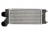 Интеркулер THERMOTEC DAC012TT (фото 1)