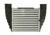 Інтеркулер THERMOTEC DAA016TT (фото 1)