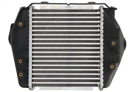 Інтеркулер THERMOTEC DA3004TT